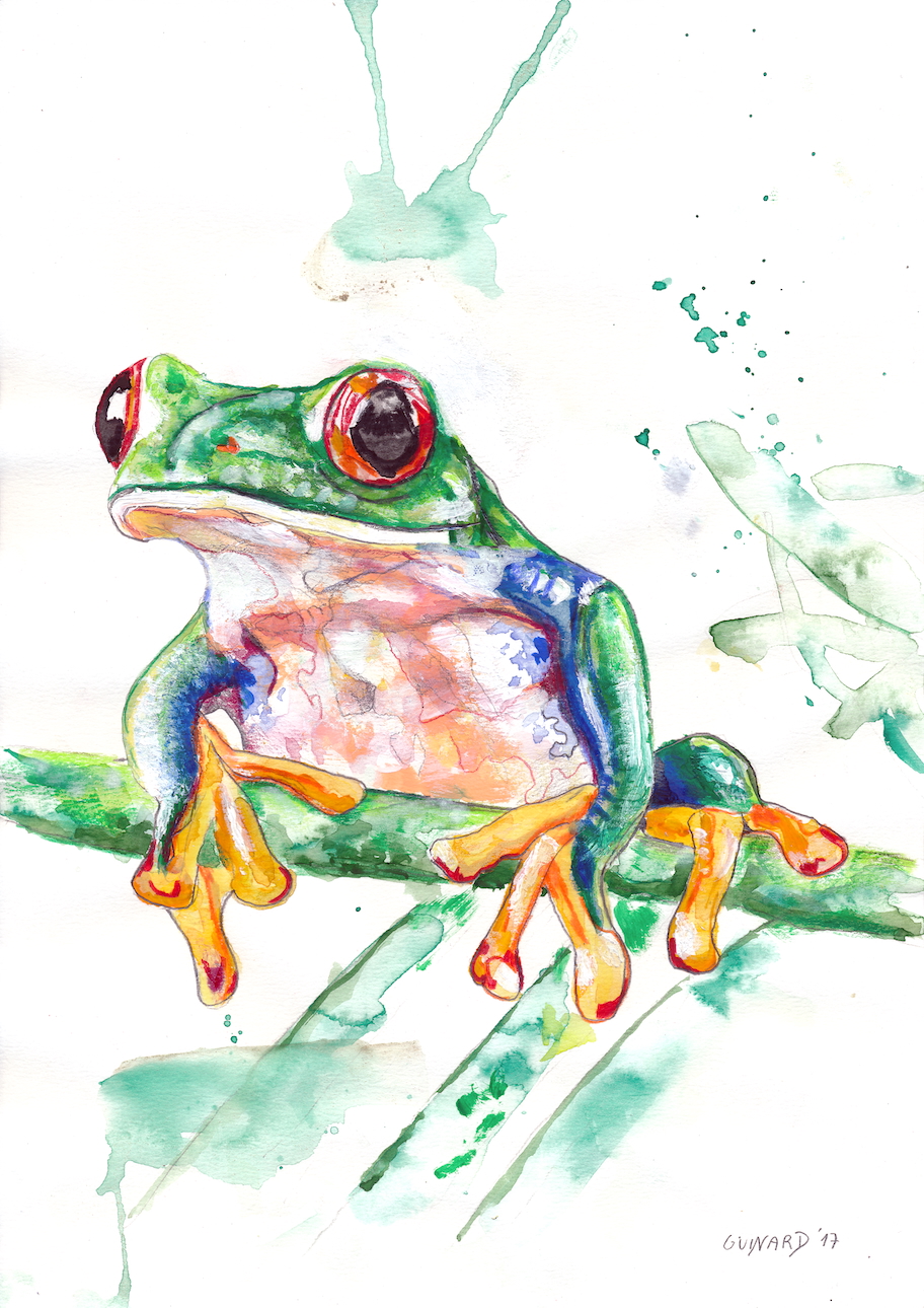 Frosch
