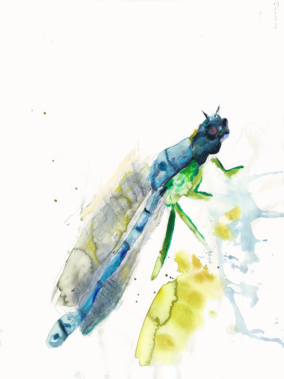 Libelle