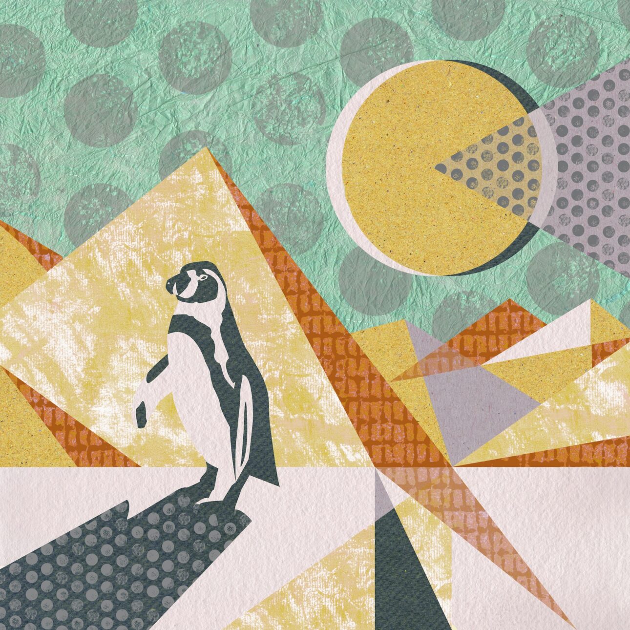 Pinguin in der Wüste II