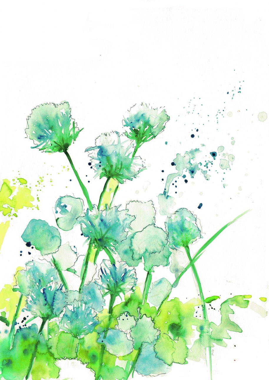 Pusteblume